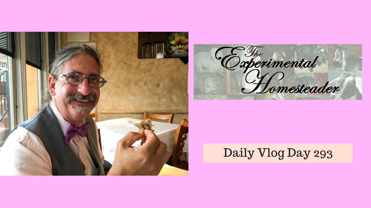 'Video thumbnail for Daily Vlog Day 293 Experimental Homesteader - Bravo! Cucina Italiana Review'