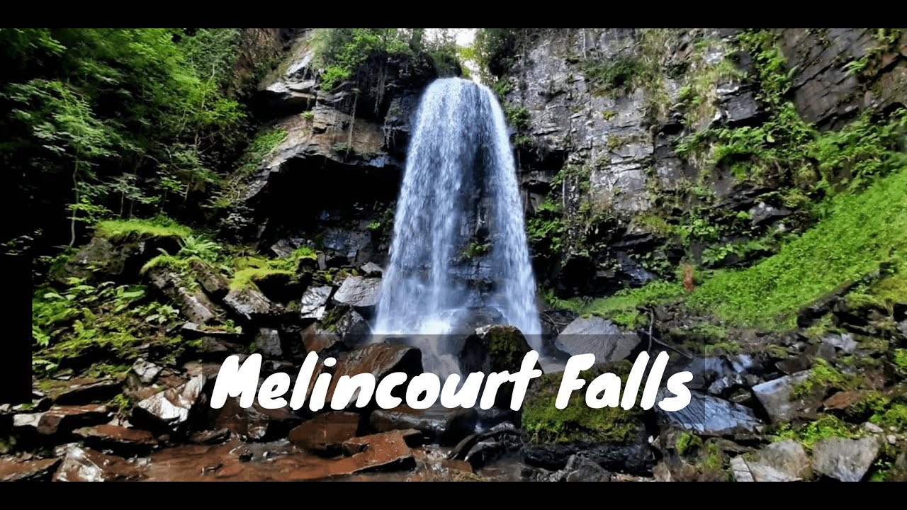 'Video thumbnail for Short Walk to the Melincourt Falls to Enjoy This 24 metre Cascade'